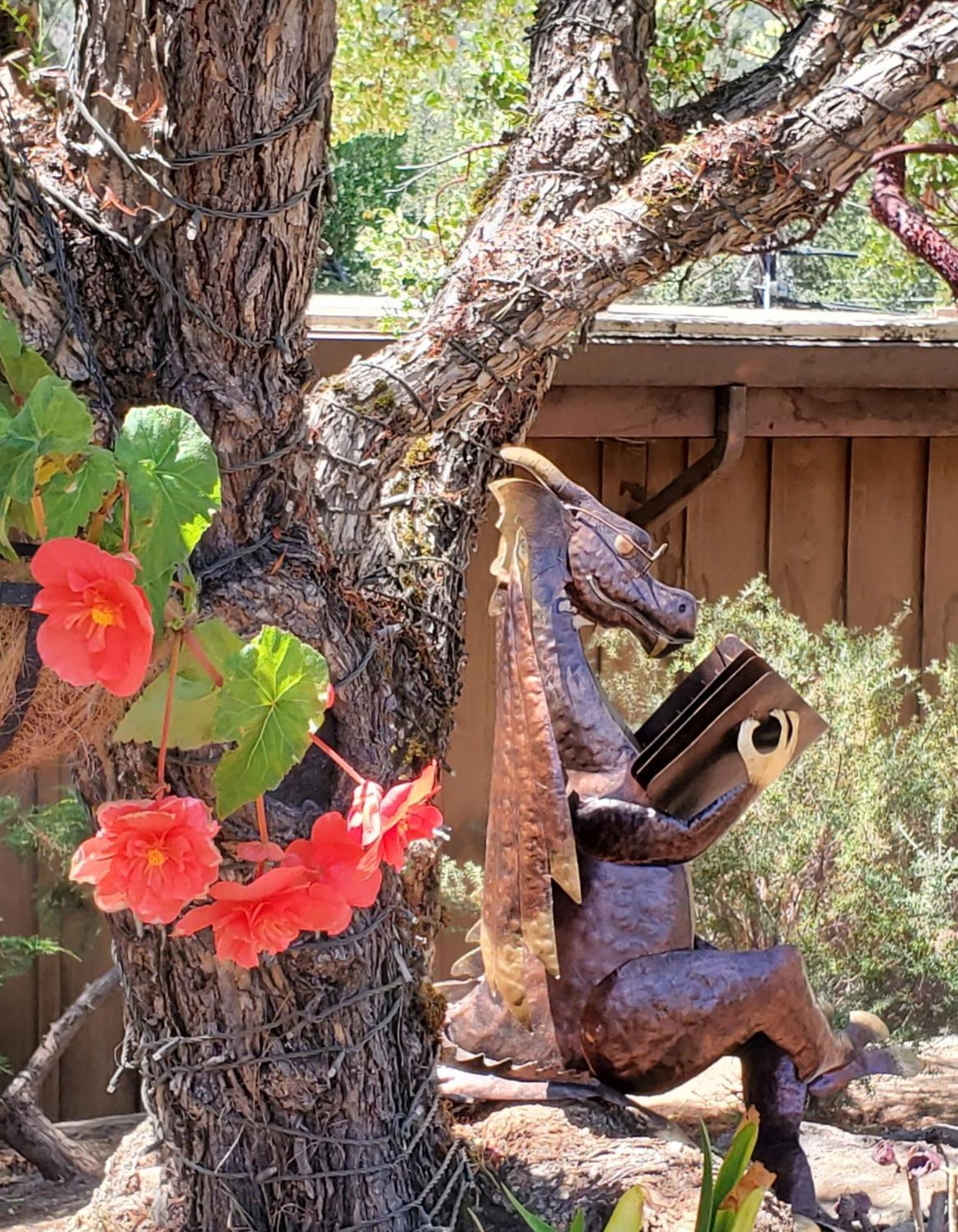Carmel Valley Lodge Eksteriør bilde